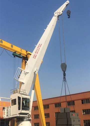Marine engineering crane